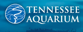 Tennessee Aquarium - Wild Trails City Trail Race