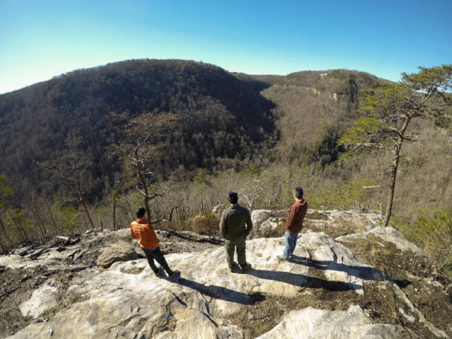 Chattanooga Trail Work | Wild Trails Cumberland Trail Project